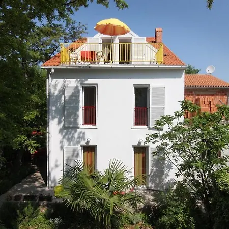 5309b * Njivice